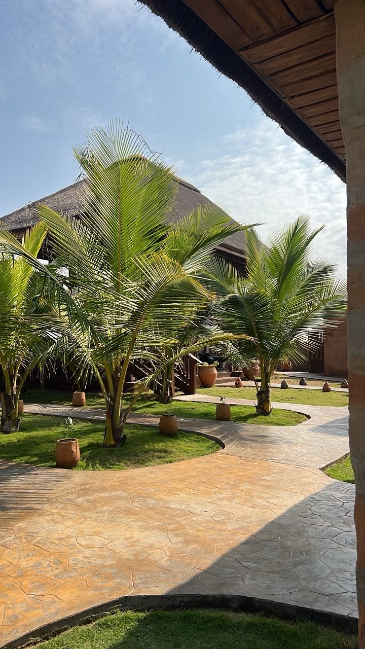 Stone paths winding between palms to the thatched lounge
