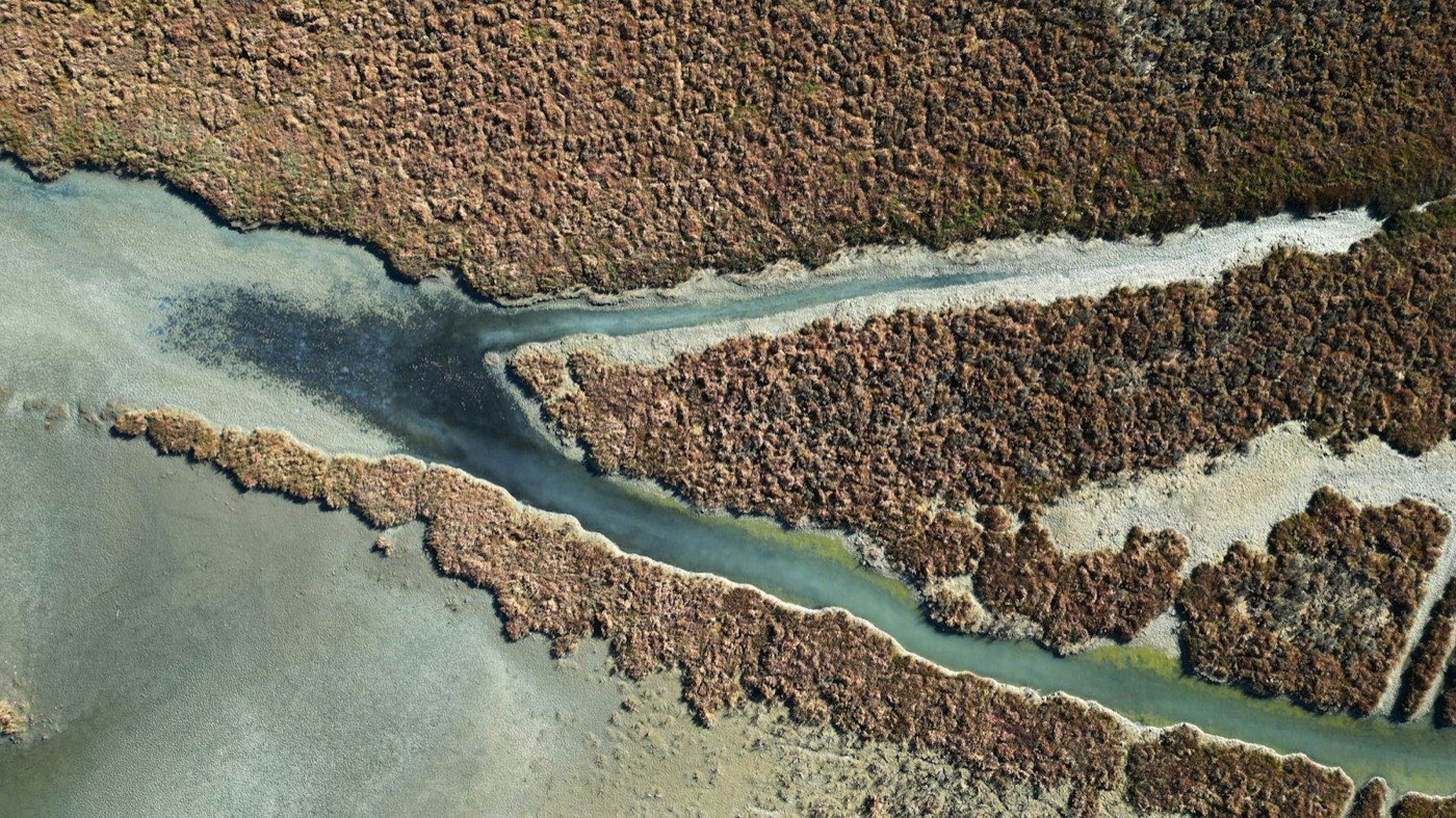 A river delta breaking into channels and islands before it reaches the sea